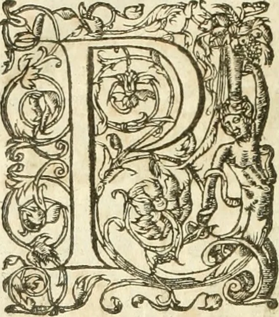 An illustration from Opera Francisci Baronis de Vervlamio ... Tomvs primvs: qui continet De dignitate & augmentis scientiarum, libros IX .., 1623, leaf 367