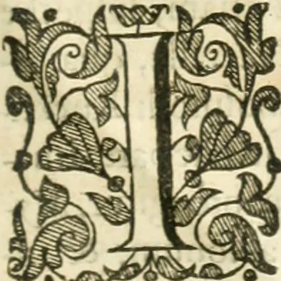 An illustration from Opera Francisci Baronis de Vervlamio ... Tomvs primvs: qui continet De dignitate & augmentis scientiarum, libros IX .., 1623, leaf 502
