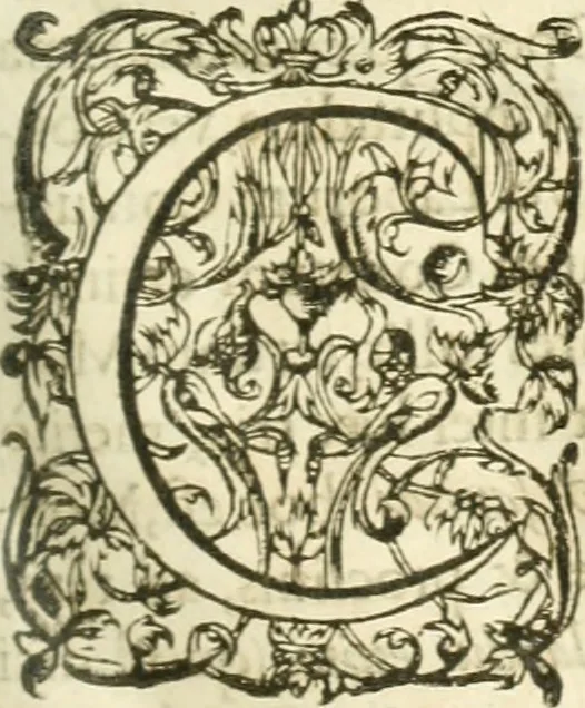 An illustration from Opera Francisci Baronis de Vervlamio ... Tomvs primvs: qui continet De dignitate & augmentis scientiarum, libros IX .., 1623, leaf 88