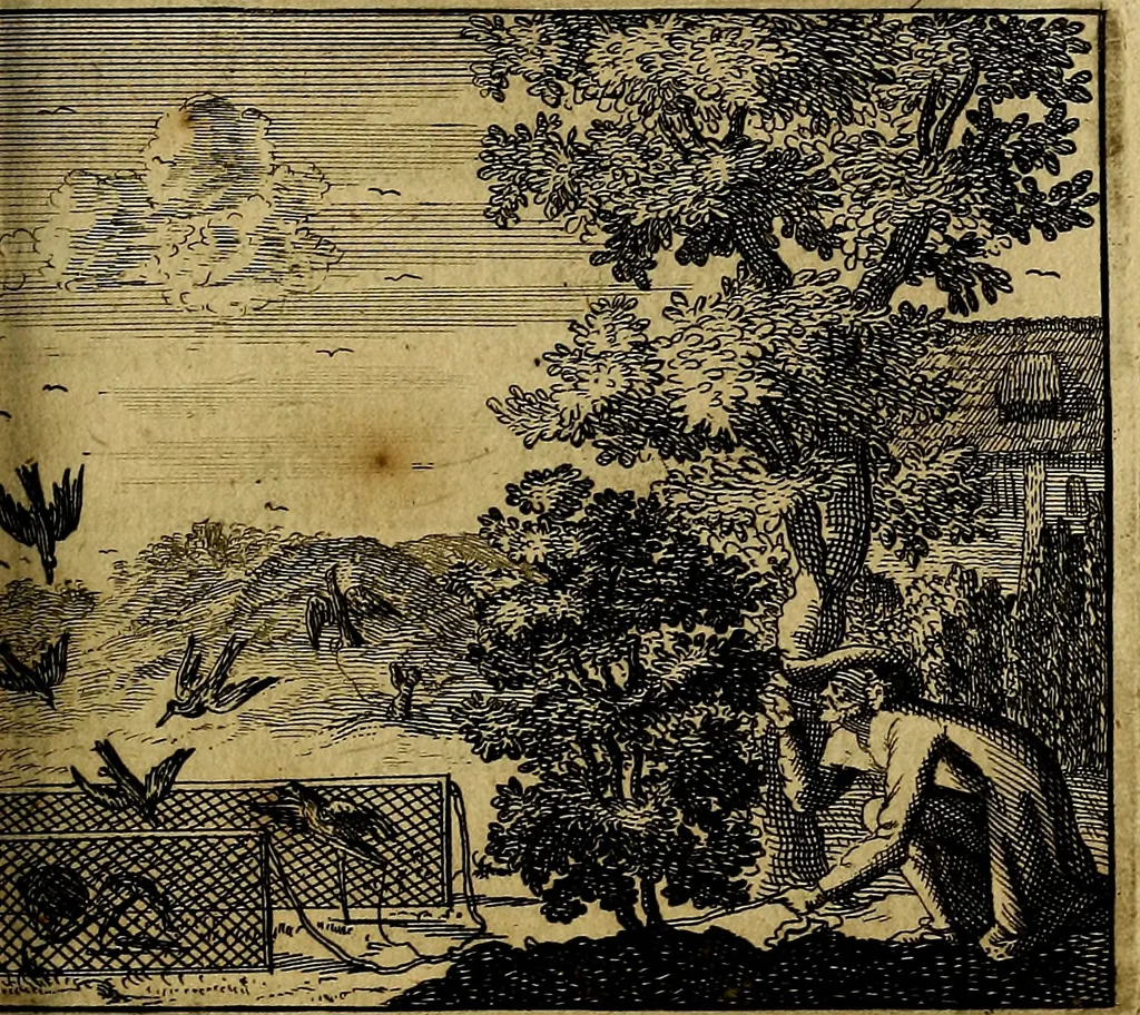 An illustration from Apelles symbolicus, exhibens seriem amplissimam symbolorum, poetisque, oratoribus ac verbi dei praedicatoribus conceptus subministrans varios, 1699, leaf 502