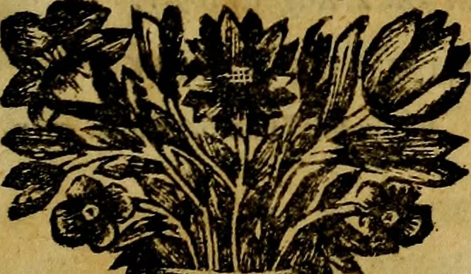 An illustration from Apelles symbolicus, exhibens seriem amplissimam symbolorum, poetisque, oratoribus ac verbi dei praedicatoribus conceptus subministrans varios, 1699, leaf 6