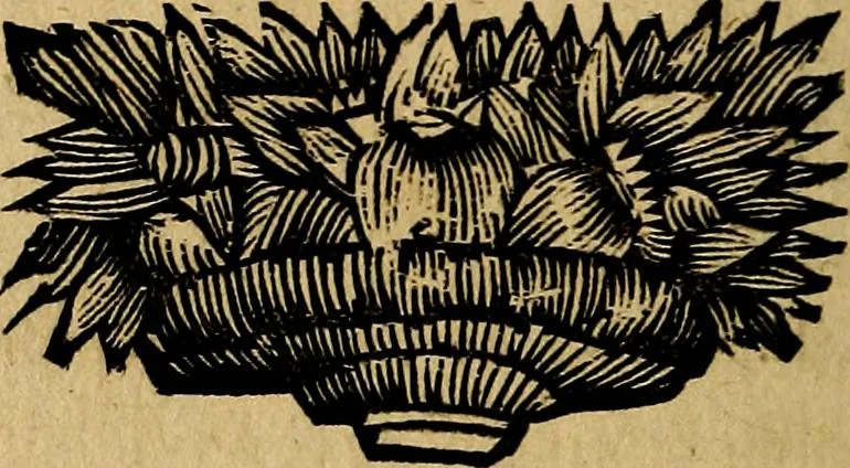 An illustration from Apelles symbolicus, exhibens seriem amplissimam symbolorum, poetisque, oratoribus ac verbi dei praedicatoribus conceptus subministrans varios, 1699, leaf 479