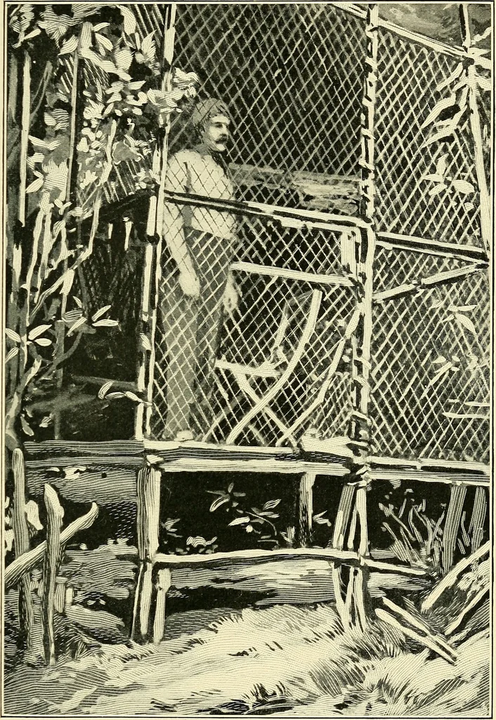 An illustration from Apes and monkeys; their life and language, 1900, leaf 106