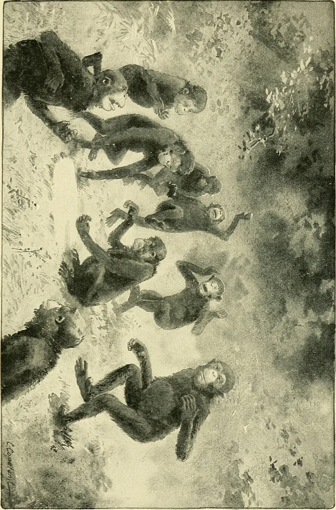 An illustration from Apes and monkeys; their life and language, 1900, leaf 126
