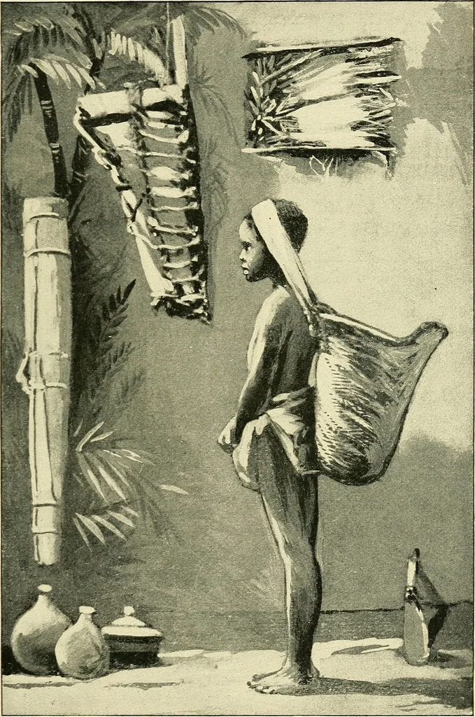 An illustration from Apes and monkeys; their life and language, 1900, leaf 142