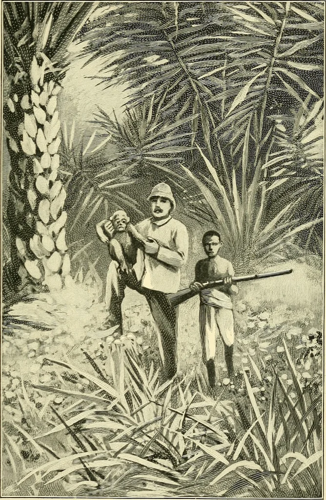 An illustration from Apes and monkeys; their life and language, 1900, leaf 150
