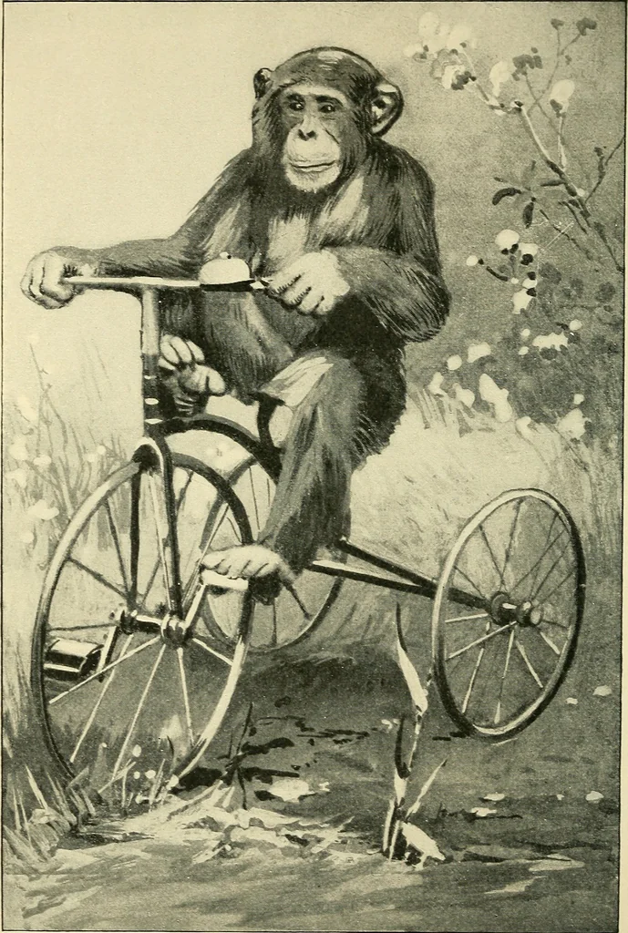An illustration from Apes and monkeys; their life and language, 1900, leaf 217
