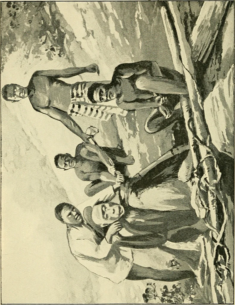 An illustration from Apes and monkeys; their life and language, 1900, leaf 245