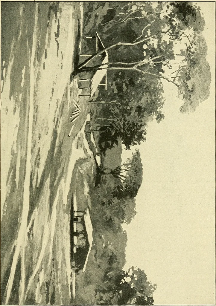 An illustration from Apes and monkeys; their life and language, 1900, leaf 294