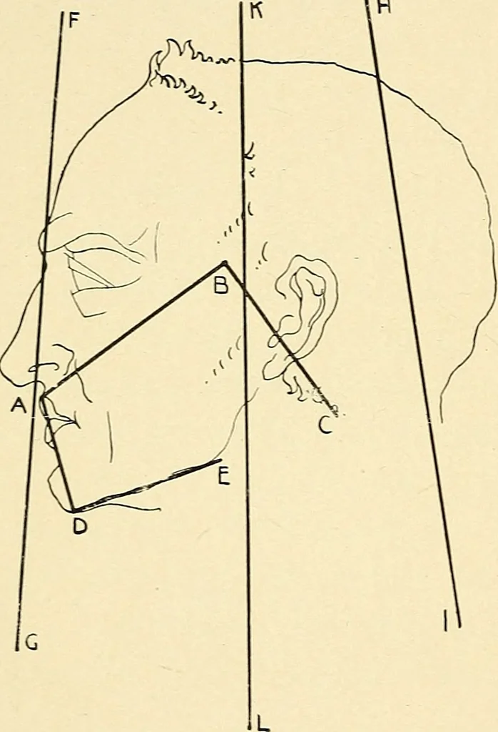 An illustration from Apes and monkeys; their life and language, 1900, leaf 31