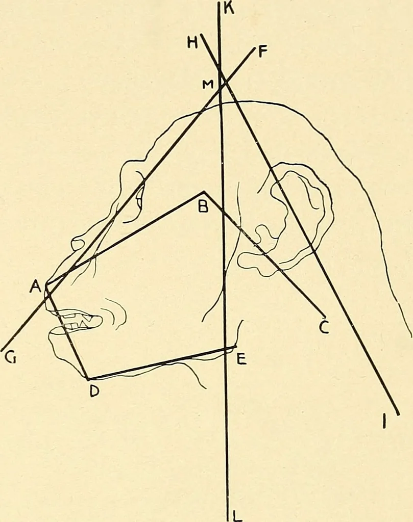 An illustration from Apes and monkeys; their life and language, 1900, leaf 32