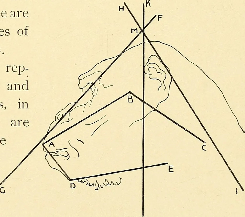An illustration from Apes and monkeys; their life and language, 1900, leaf 32