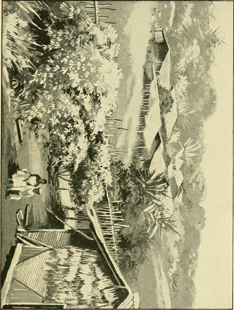 An illustration from Apes and monkeys; their life and language, 1900, leaf 84