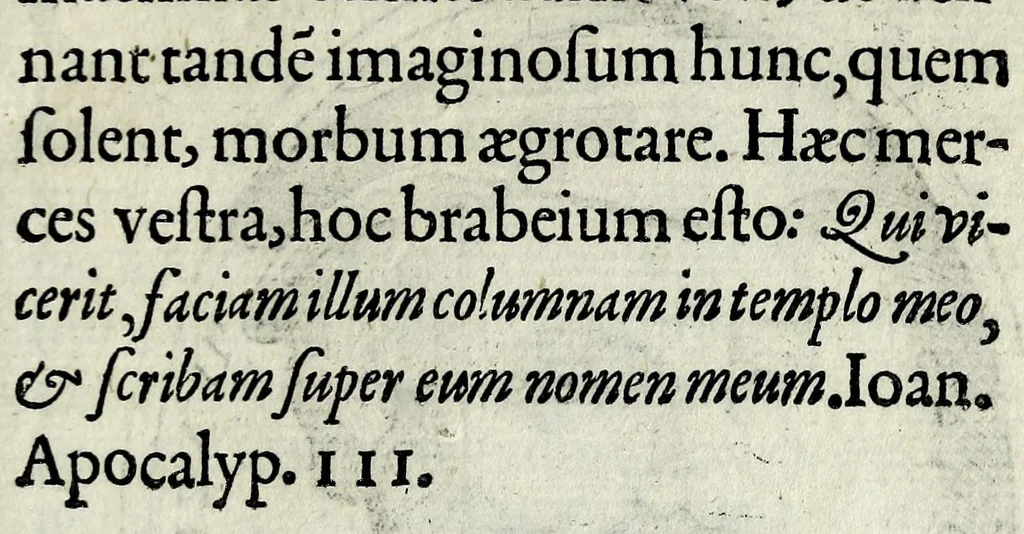 An illustration from Apocalypsis insignium aliquot haeresiarcharum : qua visiones & insomnia ipsis per somnia patefactae, blasphemias puta inauditas, ac deliramenta enthysiastica revelantur, unaq́ue opera vitae ac mortes coelo latino donantur : superadditae septendecim eorum, qui insigni supra reliquos temeritate ac depudendi audacia eminere visi, icones aereis expressae, 1608, leaf 11