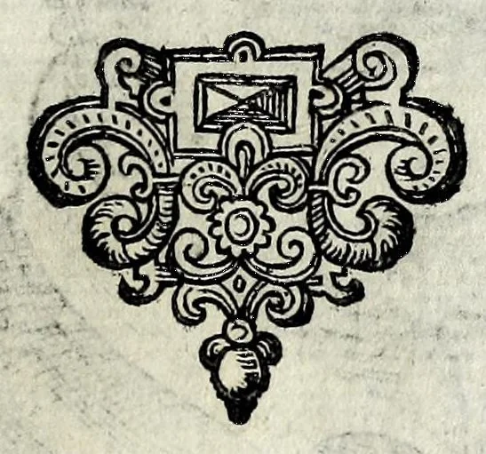 An illustration from Apocalypsis insignium aliquot haeresiarcharum : qua visiones & insomnia ipsis per somnia patefactae, blasphemias puta inauditas, ac deliramenta enthysiastica revelantur, unaq́ue opera vitae ac mortes coelo latino donantur : superadditae septendecim eorum, qui insigni supra reliquos temeritate ac depudendi audacia eminere visi, icones aereis expressae, 1608, leaf 11