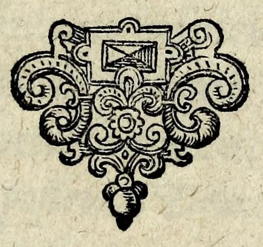 An illustration from Apocalypsis insignium aliquot haeresiarcharum : qua visiones & insomnia ipsis per somnia patefactae, blasphemias puta inauditas, ac deliramenta enthysiastica revelantur, unaq́ue opera vitae ac mortes coelo latino donantur : superadditae septendecim eorum, qui insigni supra reliquos temeritate ac depudendi audacia eminere visi, icones aereis expressae, 1608, leaf 5