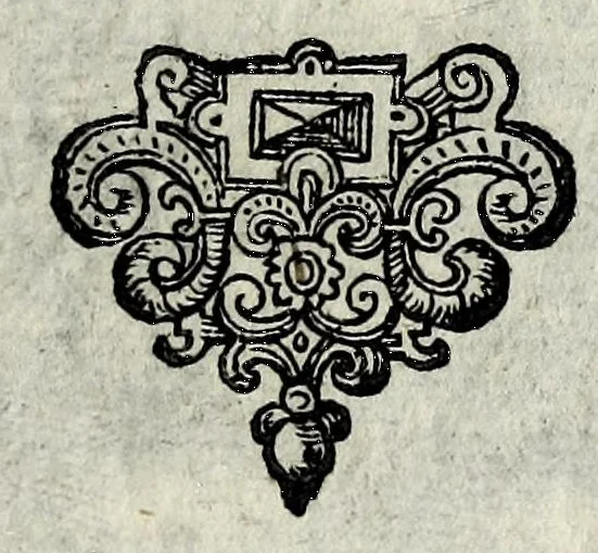 An illustration from Apocalypsis insignium aliquot haeresiarcharum : qua visiones & insomnia ipsis per somnia patefactae, blasphemias puta inauditas, ac deliramenta enthysiastica revelantur, unaq́ue opera vitae ac mortes coelo latino donantur : superadditae septendecim eorum, qui insigni supra reliquos temeritate ac depudendi audacia eminere visi, icones aereis expressae, 1608, leaf 55