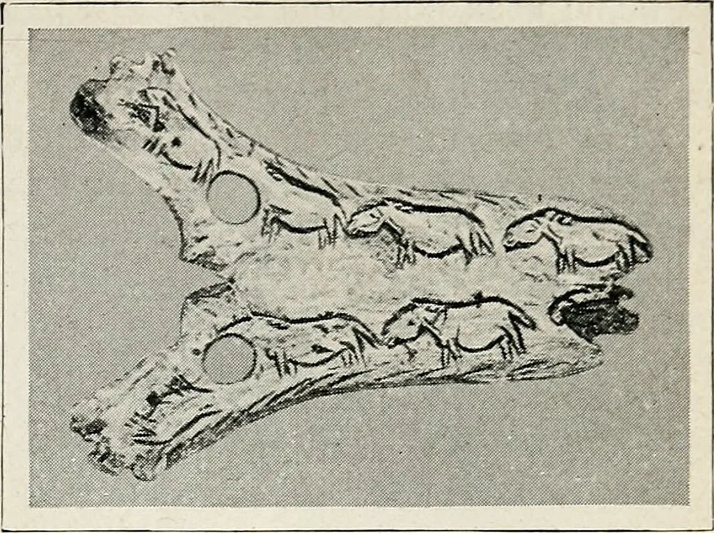 An illustration from Apollo : histoire générale des arts plastiques professée en 1902-1903 à l'École du Louvre, 1907, leaf 18