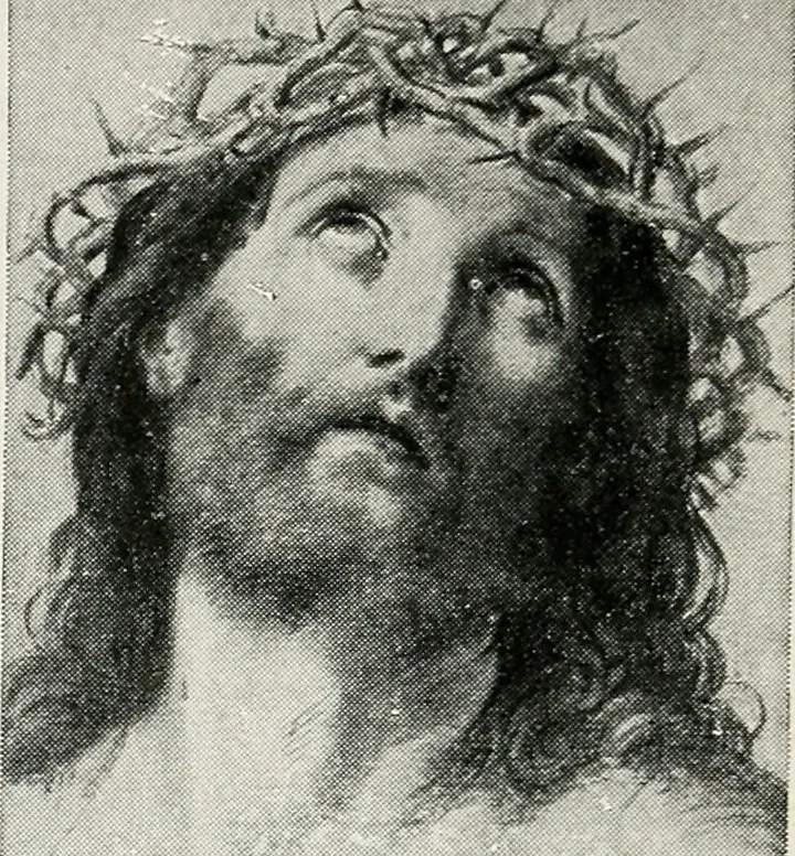 An illustration from Apollo : histoire générale des arts plastiques professée en 1902-1903 à l'École du Louvre, 1907, leaf 248