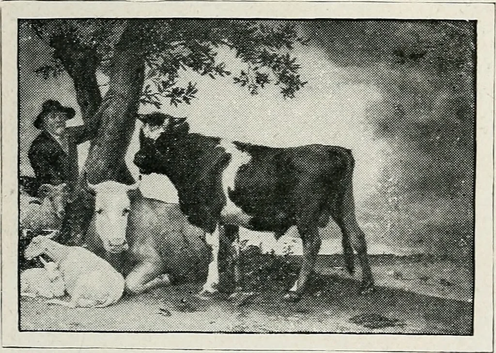 An illustration from Apollo : histoire générale des arts plastiques professée en 1902-1903 à l'École du Louvre, 1907, leaf 268