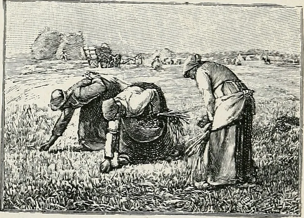 An illustration from Apollo : histoire générale des arts plastiques professée en 1902-1903 à l'École du Louvre, 1907, leaf 314