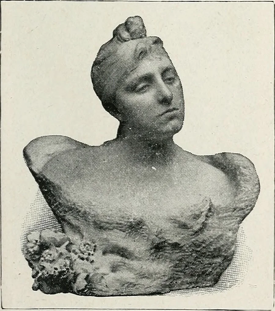 An illustration from Apollo : histoire générale des arts plastiques professée en 1902-1903 à l'École du Louvre, 1907, leaf 330