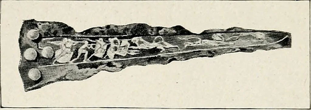 An illustration from Apollo : histoire générale des arts plastiques professée en 1902-1903 à l'École du Louvre, 1907, leaf 46