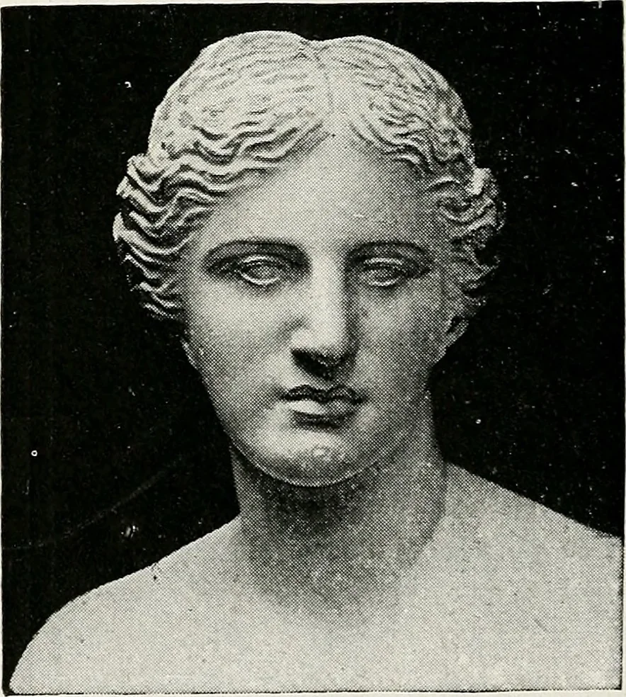 An illustration from Apollo : histoire générale des arts plastiques professée en 1902-1903 à l'École du Louvre, 1907, leaf 65