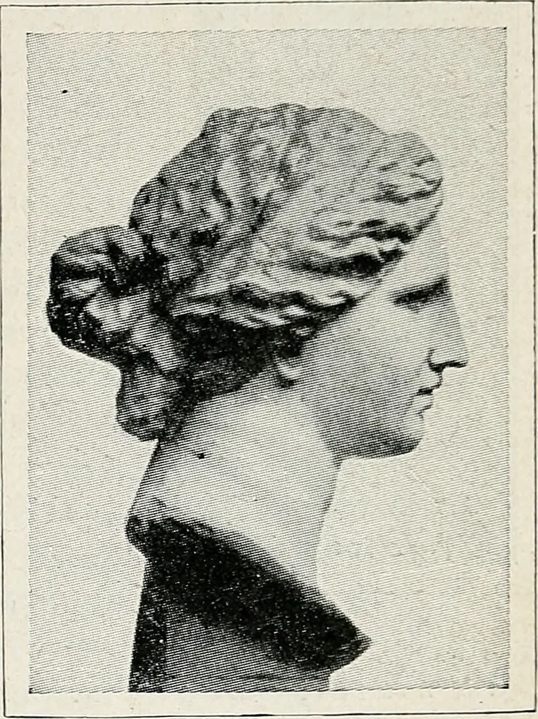 An illustration from Apollo : histoire générale des arts plastiques professée en 1902-1903 à l'École du Louvre, 1907, leaf 70
