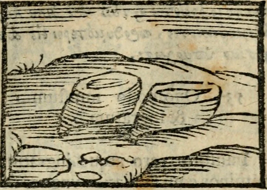 An illustration from Horou Apollonos Neiloou Hieroglyphika eklekta = Hori Apollinis Selecta hieroglyphica : imagines vero cum priuilegio, 1599, leaf 106