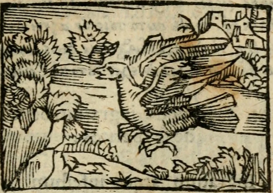 An illustration from Horou Apollonos Neiloou Hieroglyphika eklekta = Hori Apollinis Selecta hieroglyphica : imagines vero cum priuilegio, 1599, leaf 108
