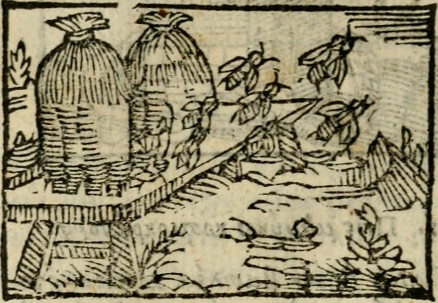An illustration from Horou Apollonos Neiloou Hieroglyphika eklekta = Hori Apollinis Selecta hieroglyphica : imagines vero cum priuilegio, 1599, leaf 115