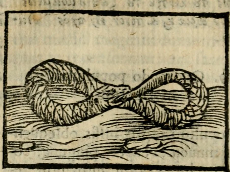 An illustration from Horou Apollonos Neiloou Hieroglyphika eklekta = Hori Apollinis Selecta hieroglyphica : imagines vero cum priuilegio, 1599, leaf 117