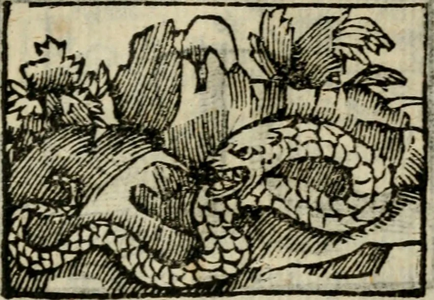 An illustration from Horou Apollonos Neiloou Hieroglyphika eklekta = Hori Apollinis Selecta hieroglyphica : imagines vero cum priuilegio, 1599, leaf 118