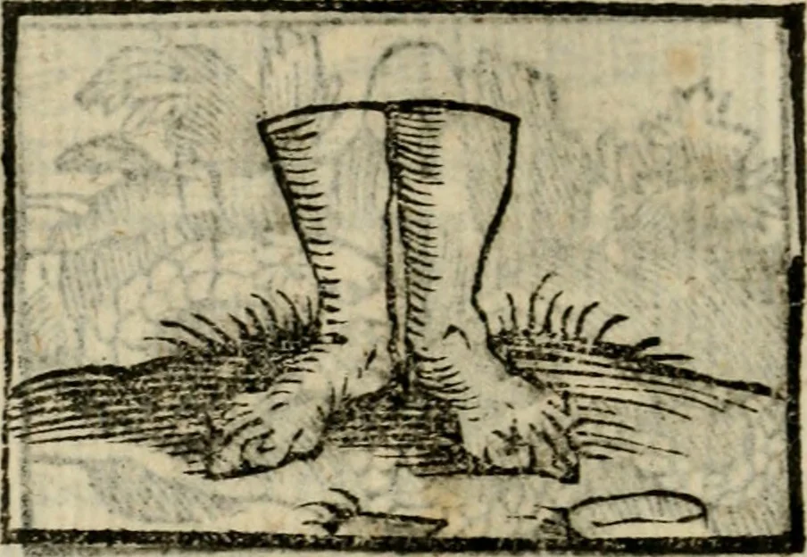 An illustration from Horou Apollonos Neiloou Hieroglyphika eklekta = Hori Apollinis Selecta hieroglyphica : imagines vero cum priuilegio, 1599, leaf 119