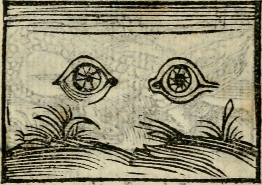 An illustration from Horou Apollonos Neiloou Hieroglyphika eklekta = Hori Apollinis Selecta hieroglyphica : imagines vero cum priuilegio, 1599, leaf 122