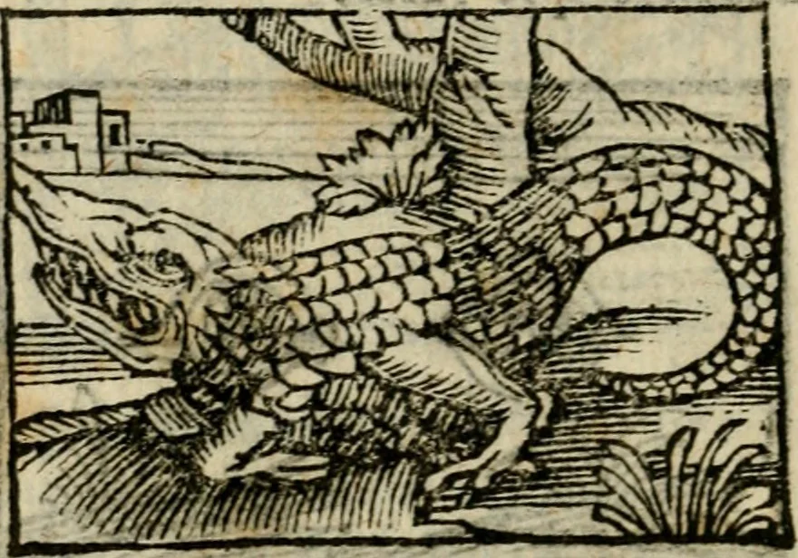An illustration from Horou Apollonos Neiloou Hieroglyphika eklekta = Hori Apollinis Selecta hieroglyphica : imagines vero cum priuilegio, 1599, leaf 123
