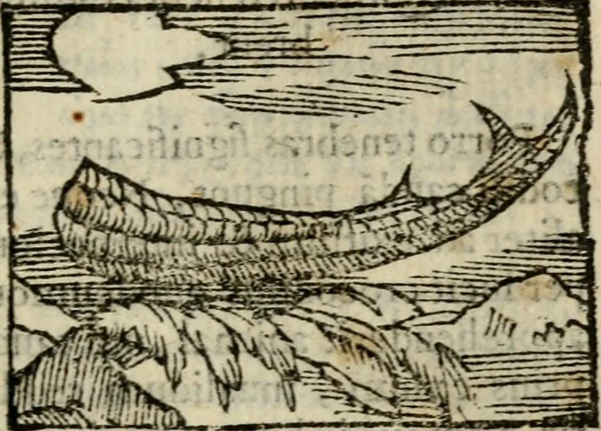 An illustration from Horou Apollonos Neiloou Hieroglyphika eklekta = Hori Apollinis Selecta hieroglyphica : imagines vero cum priuilegio, 1599, leaf 124
