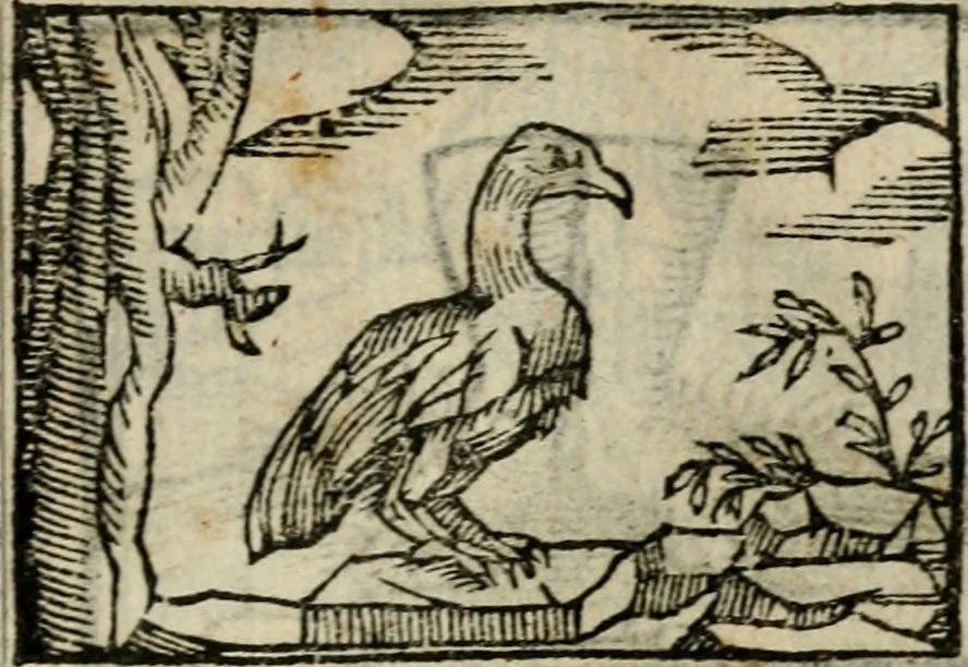 An illustration from Horou Apollonos Neiloou Hieroglyphika eklekta = Hori Apollinis Selecta hieroglyphica : imagines vero cum priuilegio, 1599, leaf 128