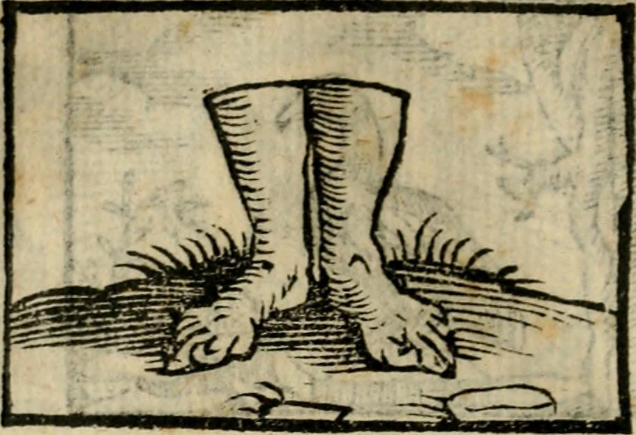An illustration from Horou Apollonos Neiloou Hieroglyphika eklekta = Hori Apollinis Selecta hieroglyphica : imagines vero cum priuilegio, 1599, leaf 129