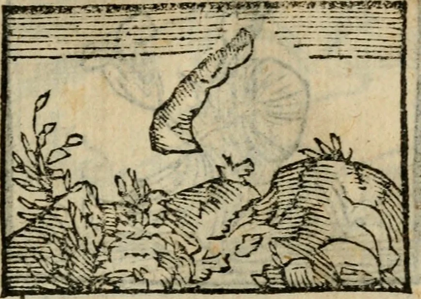 An illustration from Horou Apollonos Neiloou Hieroglyphika eklekta = Hori Apollinis Selecta hieroglyphica : imagines vero cum priuilegio, 1599, leaf 132
