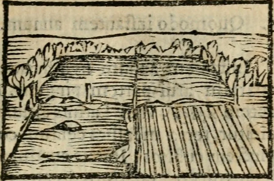 An illustration from Horou Apollonos Neiloou Hieroglyphika eklekta = Hori Apollinis Selecta hieroglyphica : imagines vero cum priuilegio, 1599, leaf 14