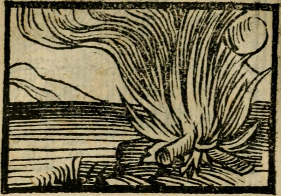 An illustration from Horou Apollonos Neiloou Hieroglyphika eklekta = Hori Apollinis Selecta hieroglyphica : imagines vero cum priuilegio, 1599, leaf 141