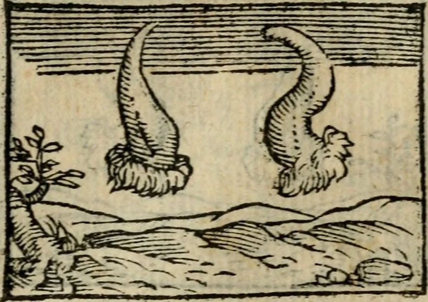 An illustration from Horou Apollonos Neiloou Hieroglyphika eklekta = Hori Apollinis Selecta hieroglyphica : imagines vero cum priuilegio, 1599, leaf 142