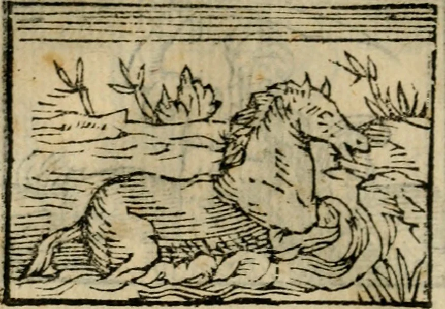 An illustration from Horou Apollonos Neiloou Hieroglyphika eklekta = Hori Apollinis Selecta hieroglyphica : imagines vero cum priuilegio, 1599, leaf 145