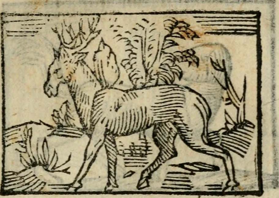 An illustration from Horou Apollonos Neiloou Hieroglyphika eklekta = Hori Apollinis Selecta hieroglyphica : imagines vero cum priuilegio, 1599, leaf 146