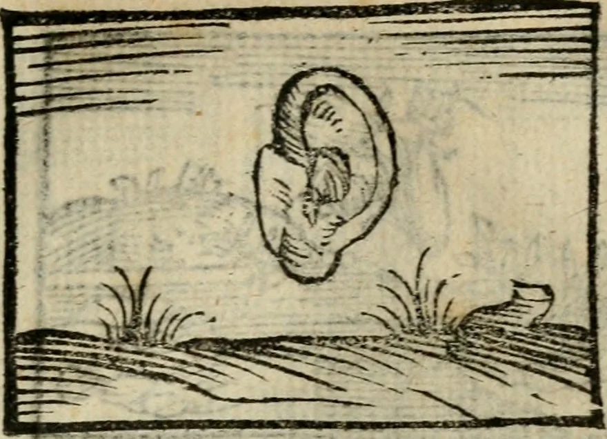 An illustration from Horou Apollonos Neiloou Hieroglyphika eklekta = Hori Apollinis Selecta hieroglyphica : imagines vero cum priuilegio, 1599, leaf 148