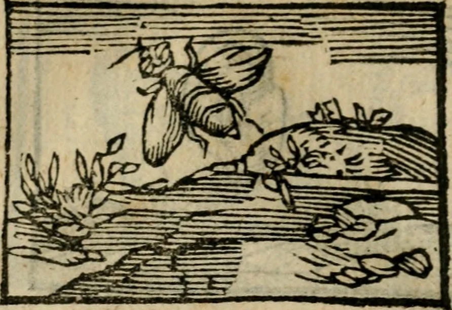 An illustration from Horou Apollonos Neiloou Hieroglyphika eklekta = Hori Apollinis Selecta hieroglyphica : imagines vero cum priuilegio, 1599, leaf 149