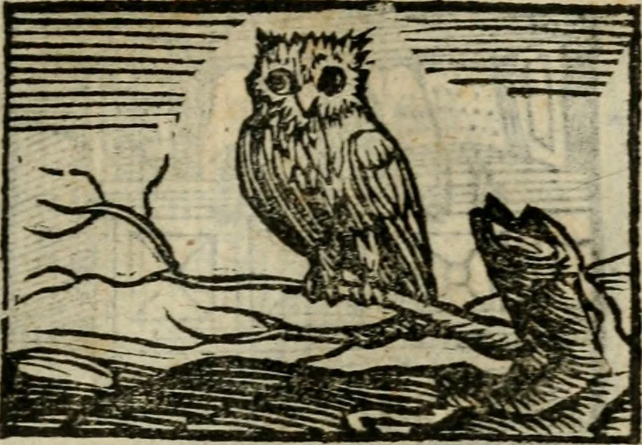 An illustration from Horou Apollonos Neiloou Hieroglyphika eklekta = Hori Apollinis Selecta hieroglyphica : imagines vero cum priuilegio, 1599, leaf 150