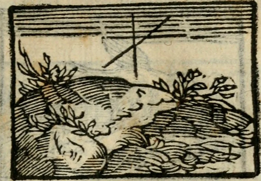 An illustration from Horou Apollonos Neiloou Hieroglyphika eklekta = Hori Apollinis Selecta hieroglyphica : imagines vero cum priuilegio, 1599, leaf 154